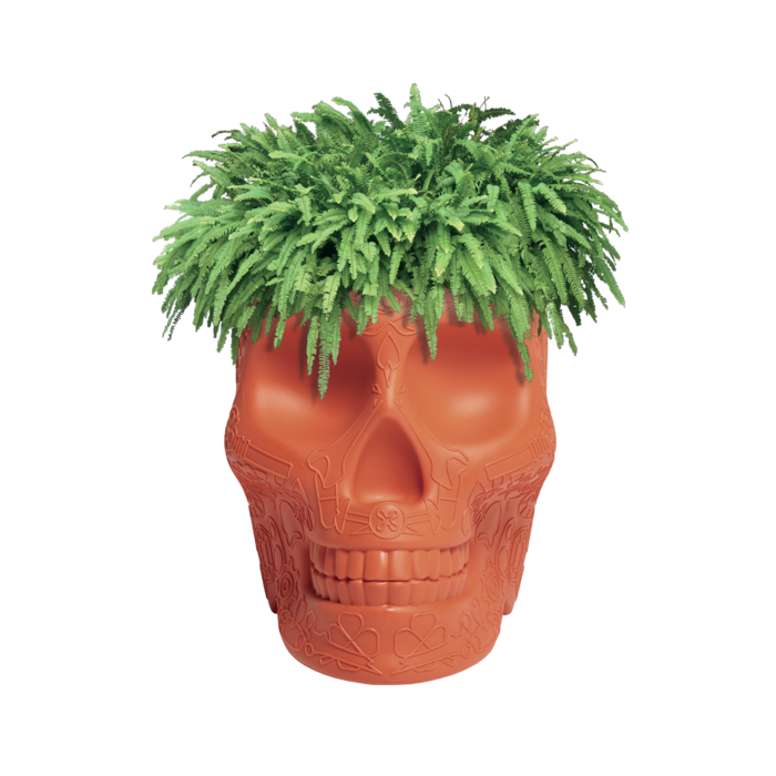 10-qeeboo-mexico-planter-champagne-cooler-by-studio-job-terracotta_700x