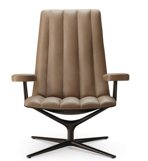 Healey Lounge Chair.休闲椅细节图1
