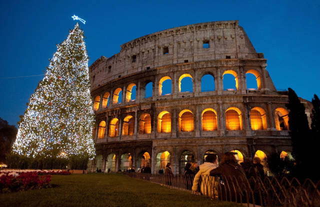 罗马圣诞树.jpg