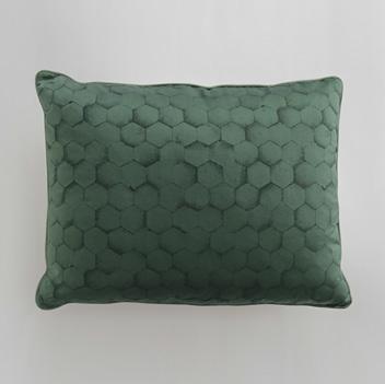 Bruno Zampa Pillow 抱枕4