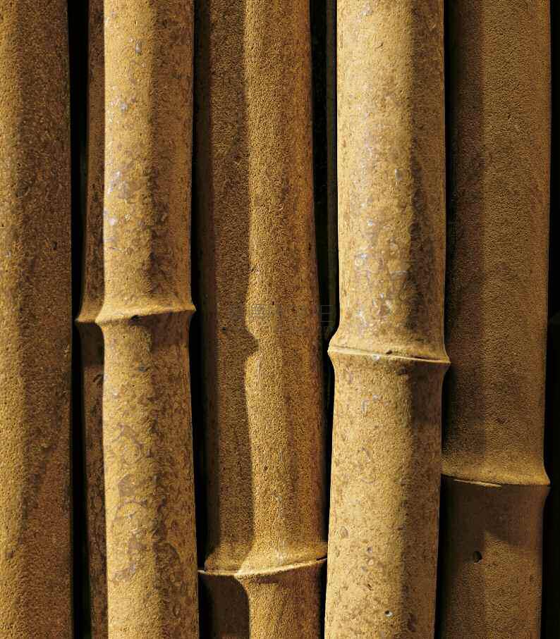 bamboo 装饰大理石墙2