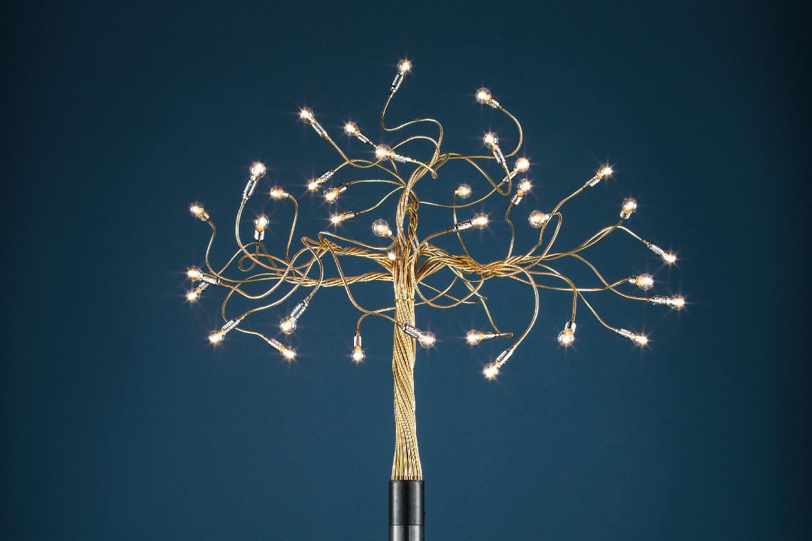 Ap-Albero-della-Luce