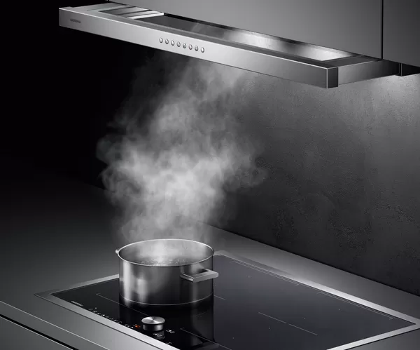 德国家具gaggenau的200系列 油烟机主图