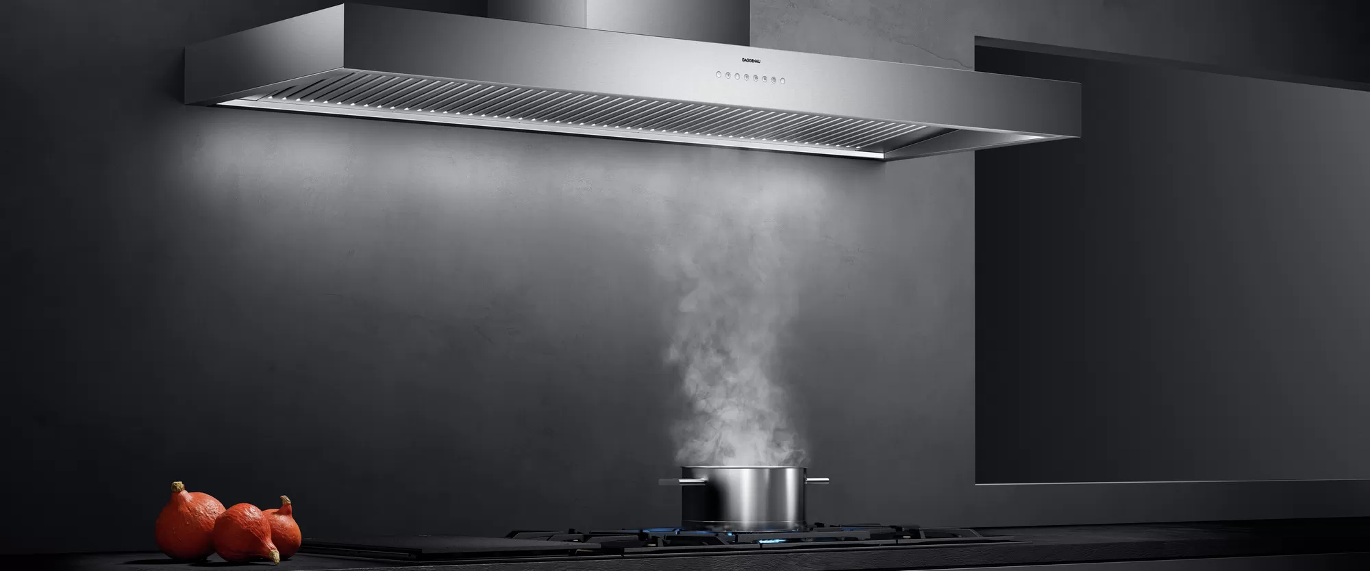 德国家具gaggenau的400系列 油烟机细节图