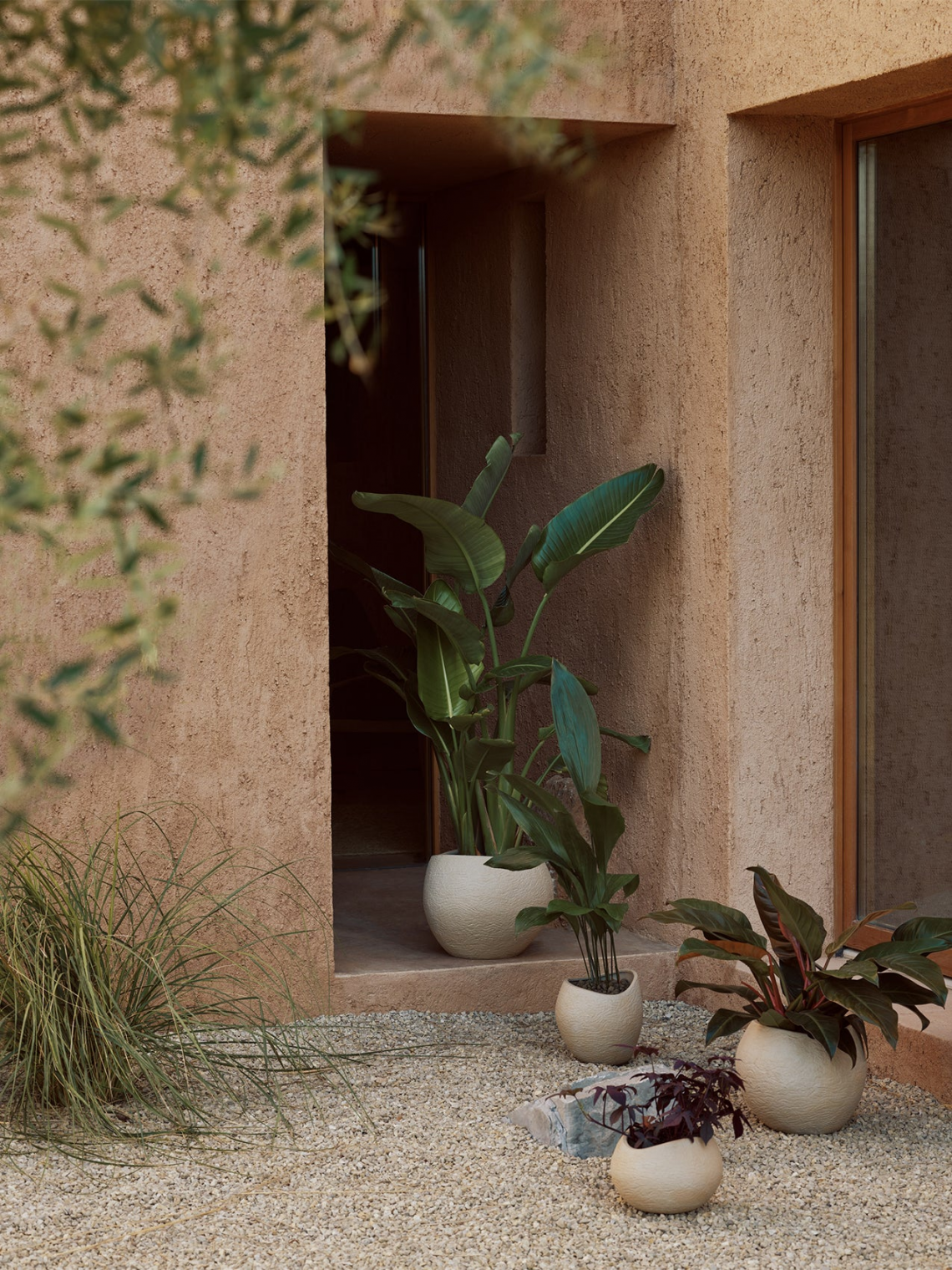 Plantas Planter花盆场景图6