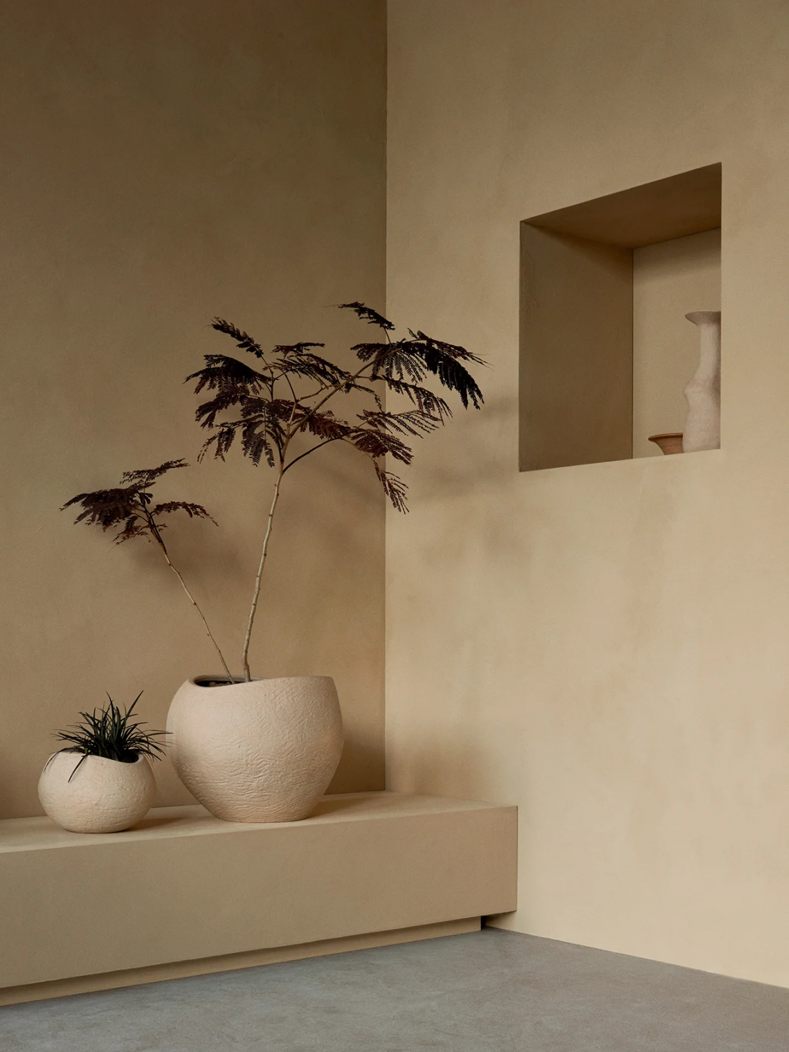Plantas Planter花盆场景图1