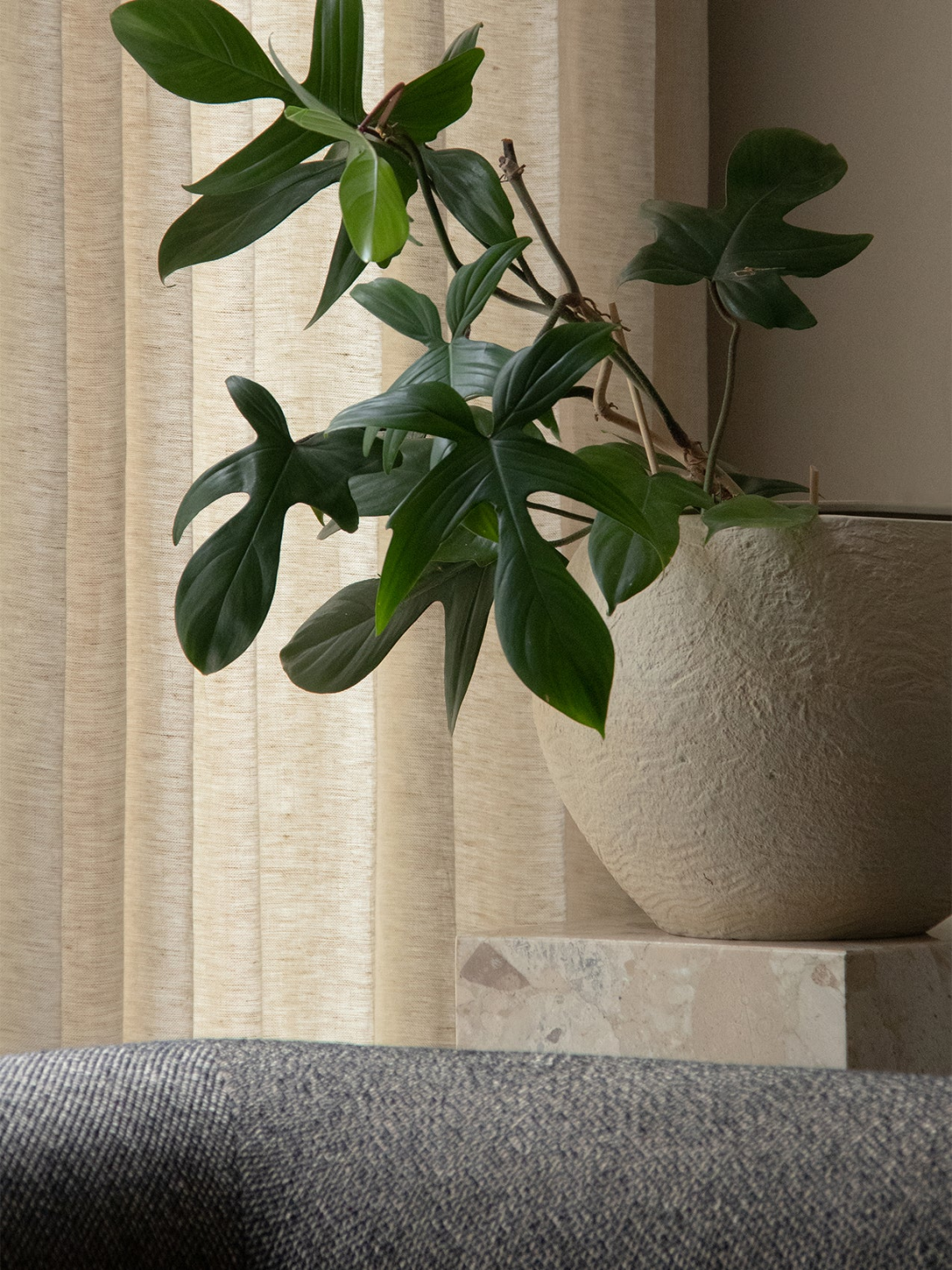 Plantas Planter花盆场景图3